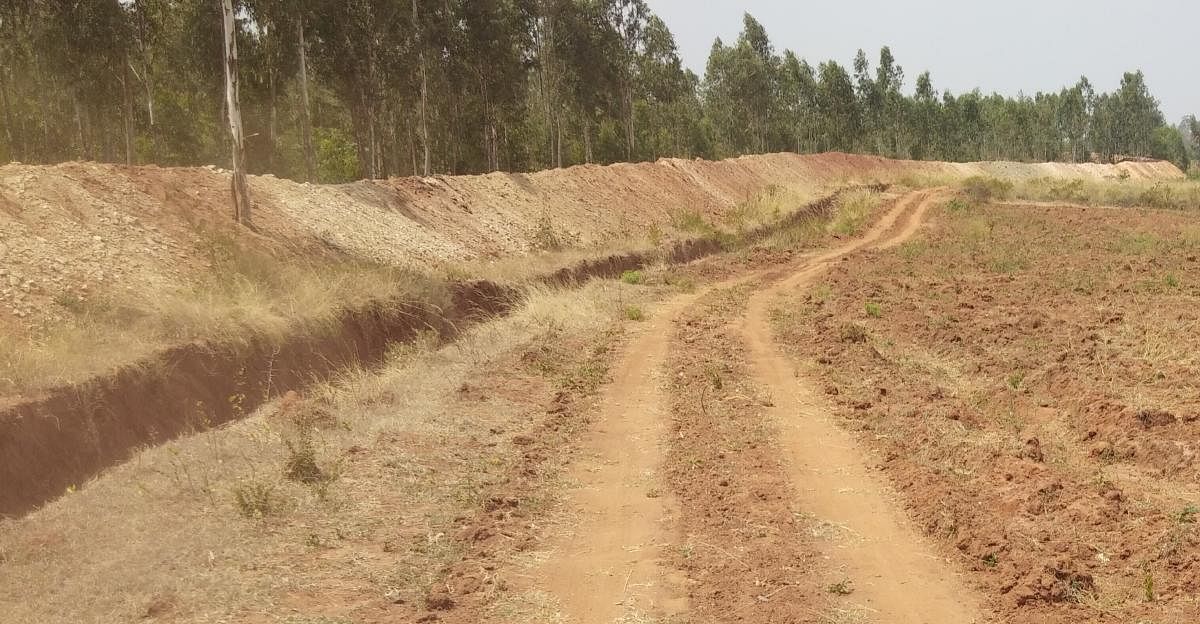 30-km trench puts a brake on elephant menace