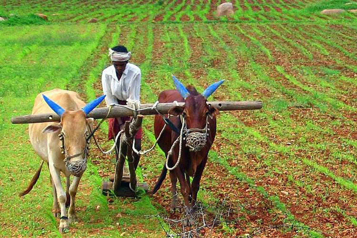 What will the liberalised farmland market in Karnataka mean?