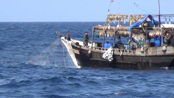 Chinese 'dark fleets' observed fishing off North Korea despite sanctions ban: Report