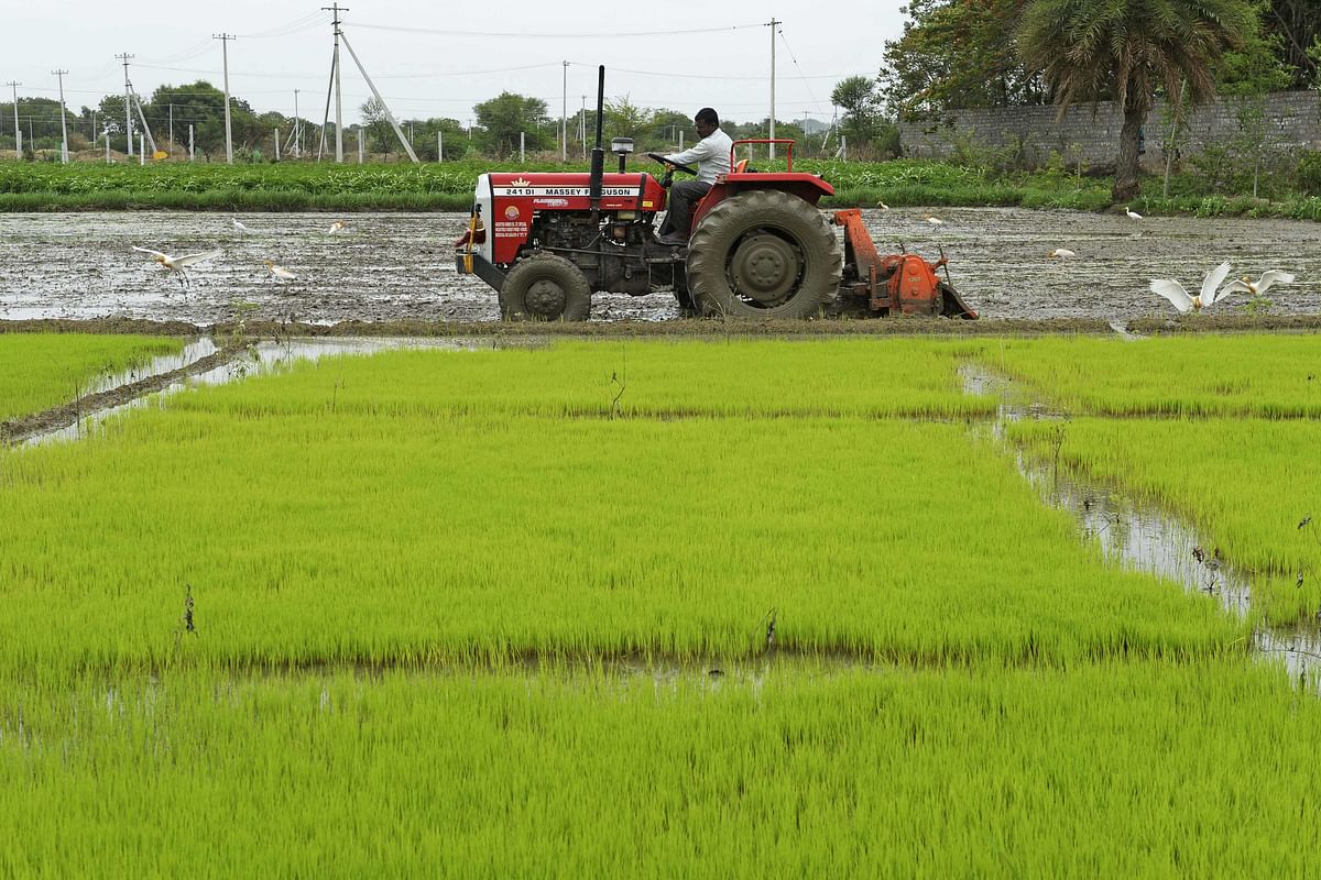 Agri-input products to be marketed through CSCs