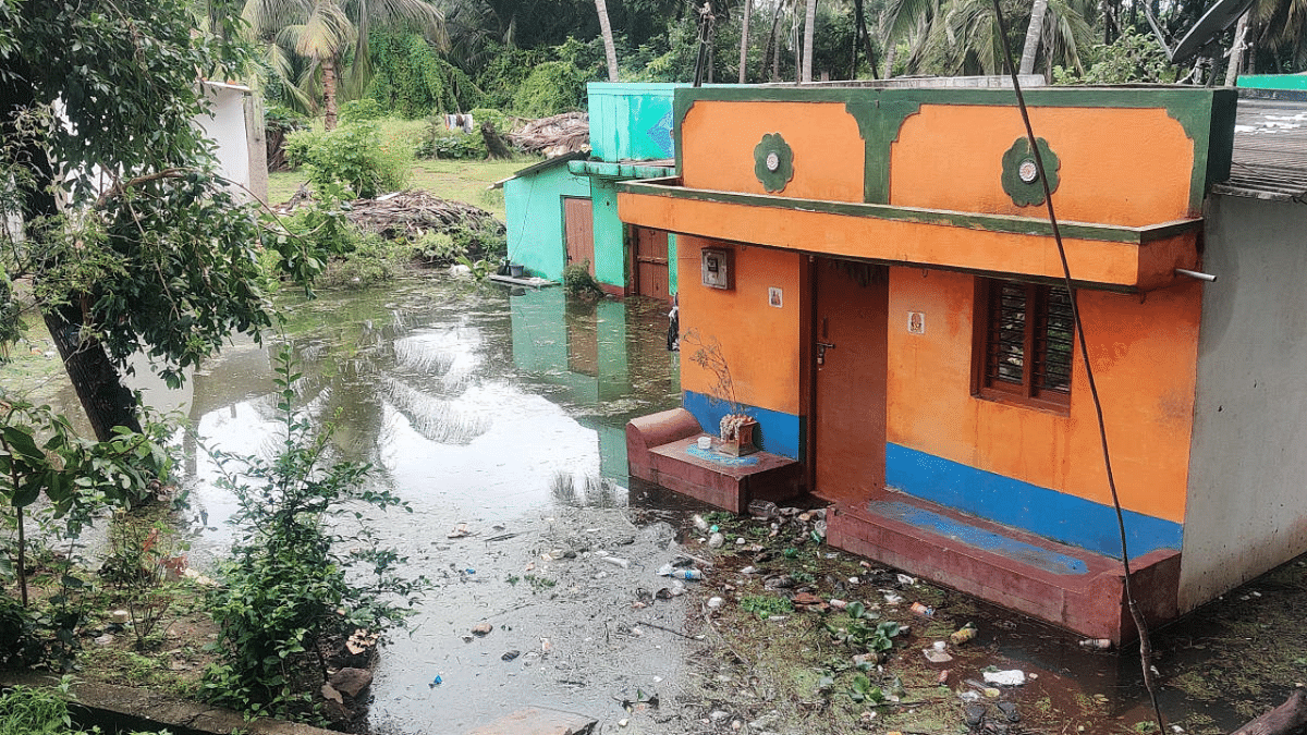 Mysuru district: Hundreds of houses damaged due to rain