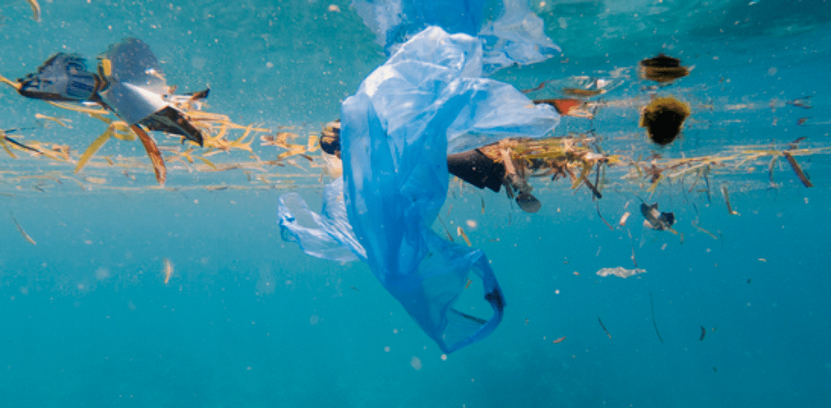 Covid-19 Has Worsened the Ocean Plastic Pollution Problem