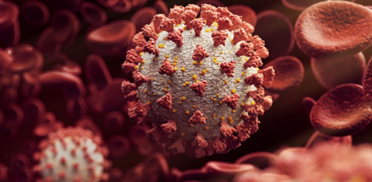 Global coronavirus cases cross 25 million as India sets grim record