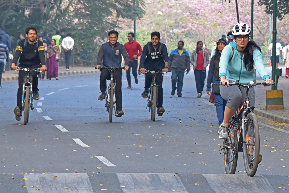 DULT wants to reboot ‘Cycle Day’, promote sustainable transport