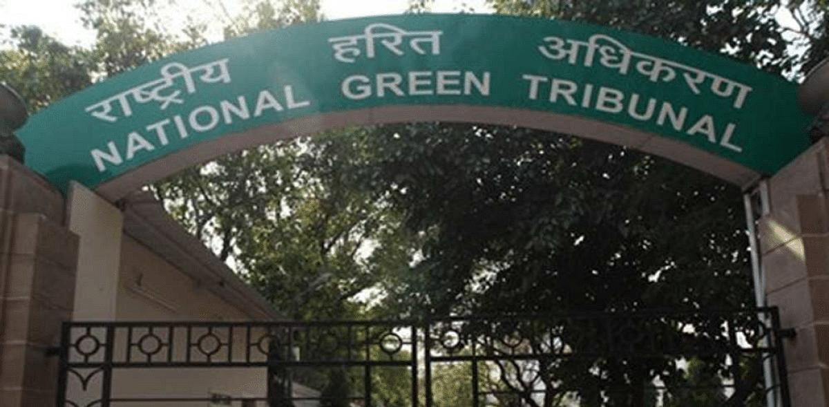 NGT directs Centre, Jharkhand for report on declaration of eco-sensitive zone in Saranda Sanctuary