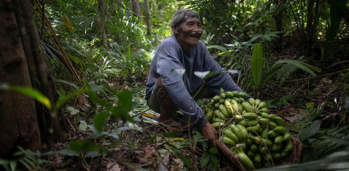 Amazon indigenous group patrols to expel invading loggers
