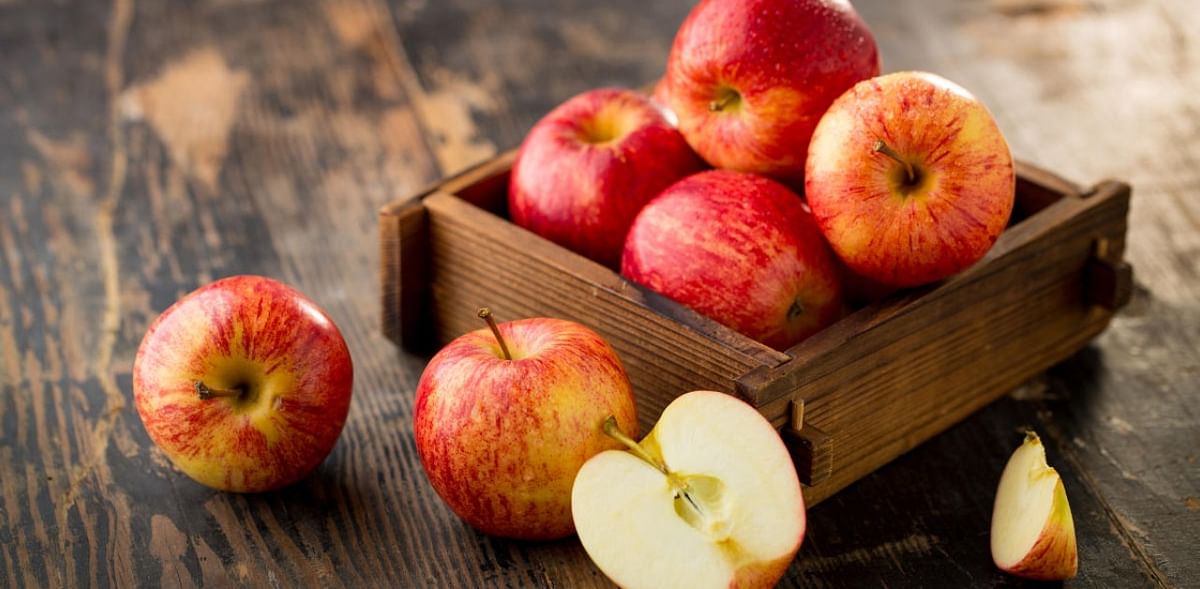 The forbidden fruit of Washington? Governor unintentionally gifts maggot-infested apples 