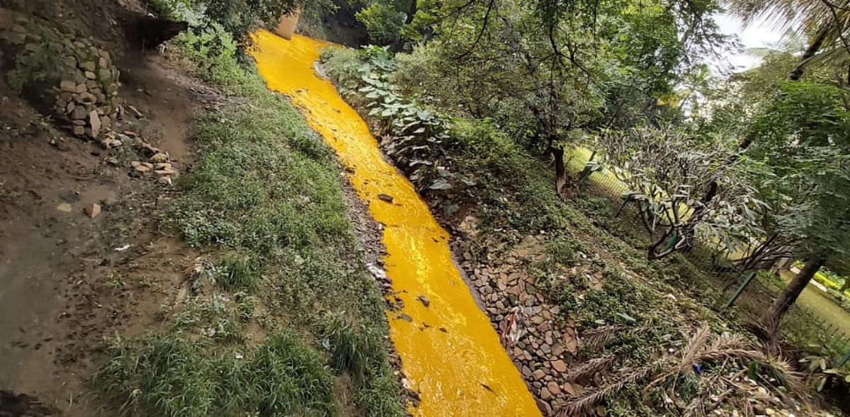 Vrishabhavathi water turns frothy dark yellow