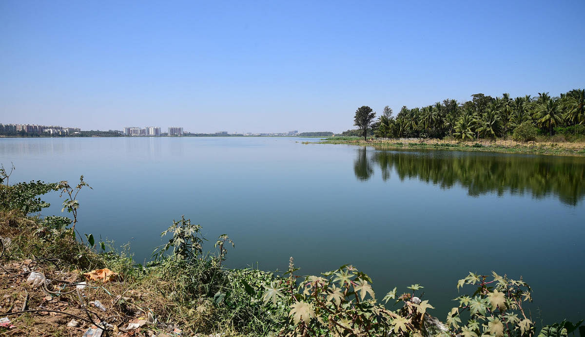 32 apartments around Bellandur Lake yet to install STPs, says Dy CM Ashwath Narayan