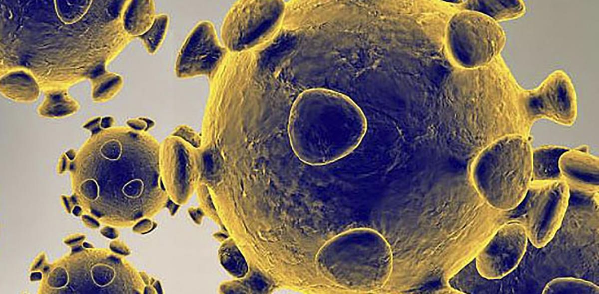 Most people infected with novel coronavirus develop symptoms, says study