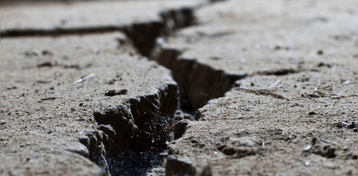 Two medium-intensity quakes hit Ladakh: NCS