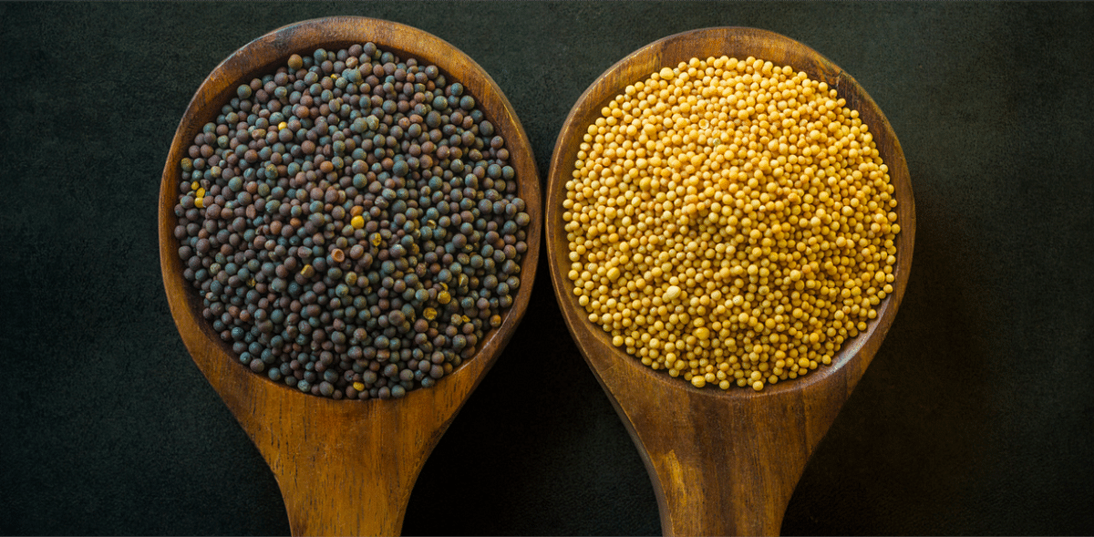 India's mustard seeds production likely to rise, import of edible oil may reduce