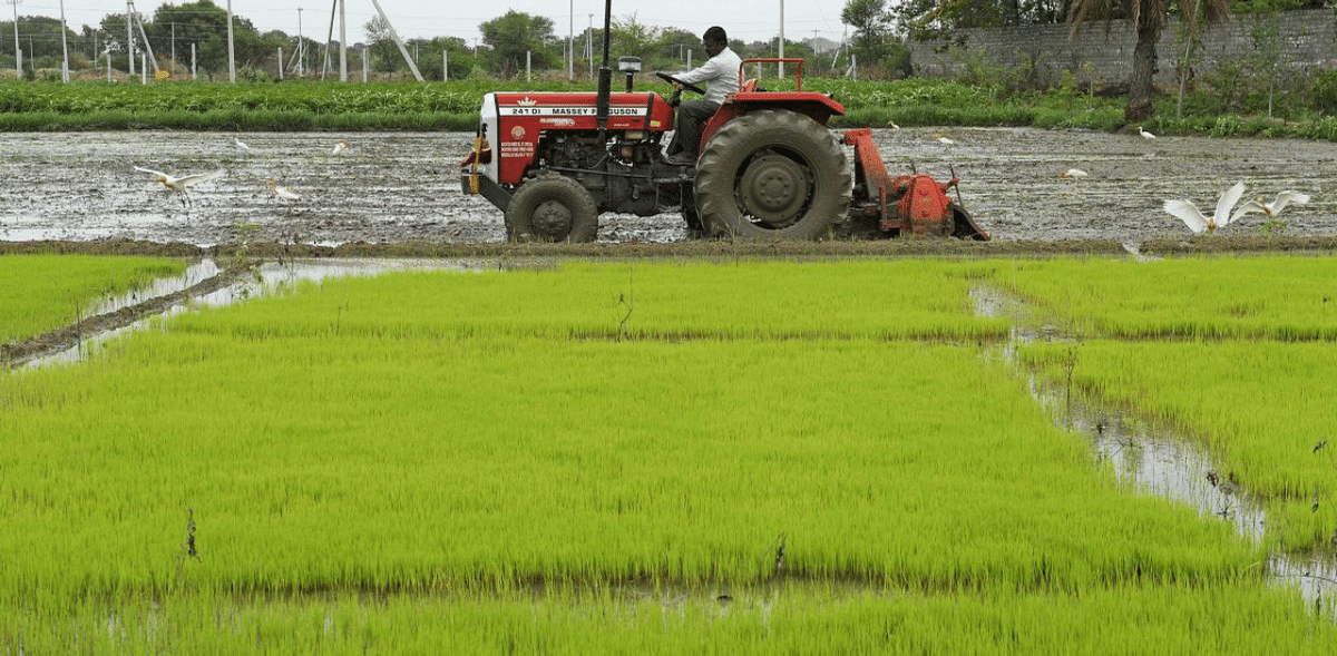 Tamil Nadu sees record paddy procurement of over 32 lakh tonnes