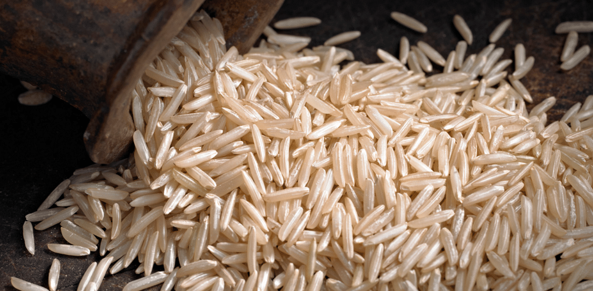 Pakistan to challenge India's application for exclusive GI tag for Basmati rice in EU