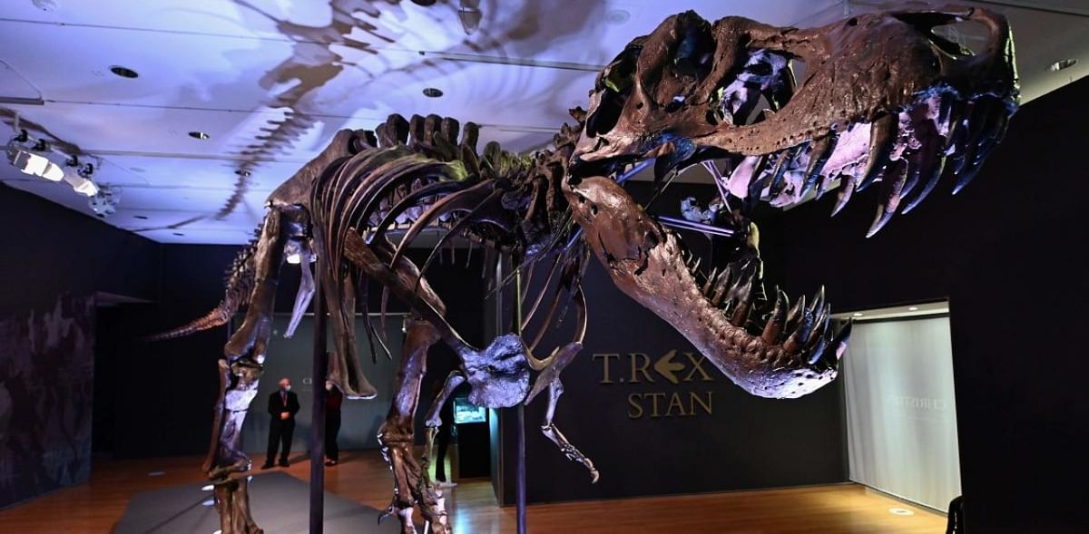 Stan, the T-Rex skeleton, brings $31.8 million at Christie's auction