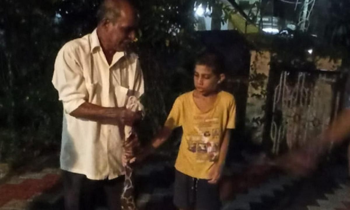 10-year-old boy helps to catch python despite being bitten