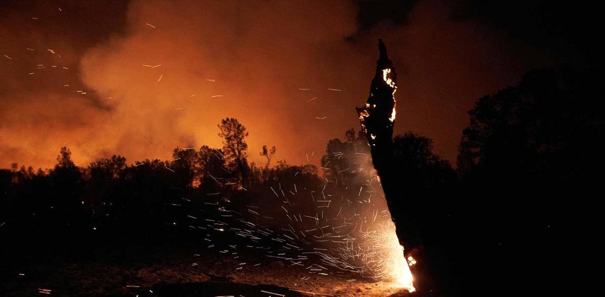 US district judge asks PG&E to explain role in California Zogg Fire