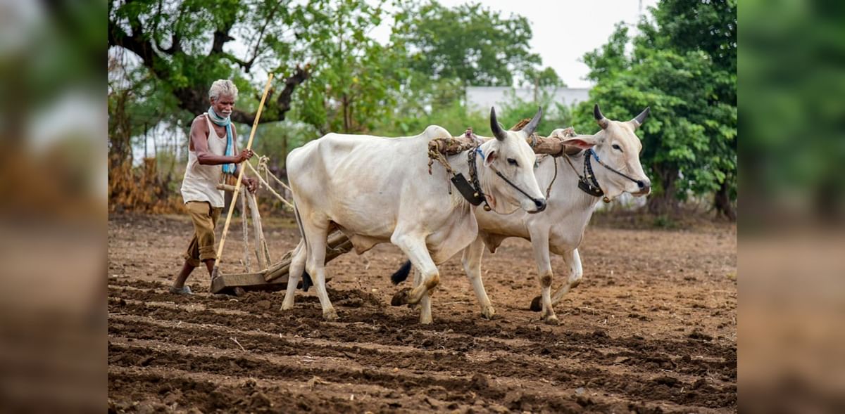 1.5 lakh farmers from Maharashtra, Gujarat using Cotton Doctor app