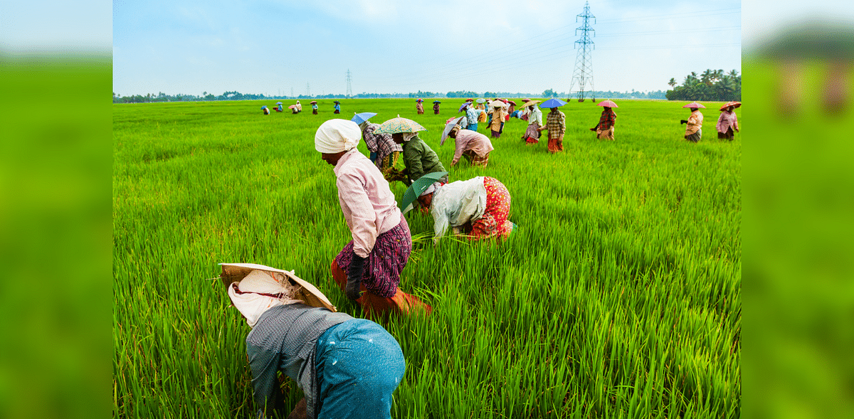 Farm sentiments remain positive led by good monsoon: Report