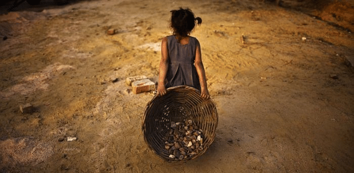1.3 lakh child labourers working in Gujarat farms: NGO