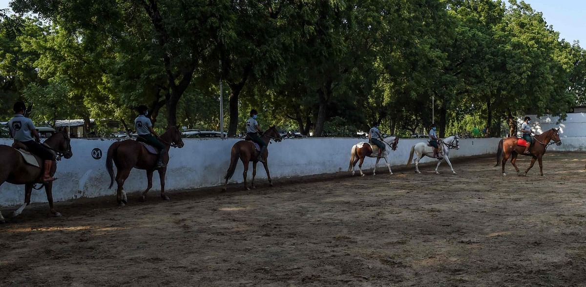 Horses come to fore in rescue of Hyderabad flood victims