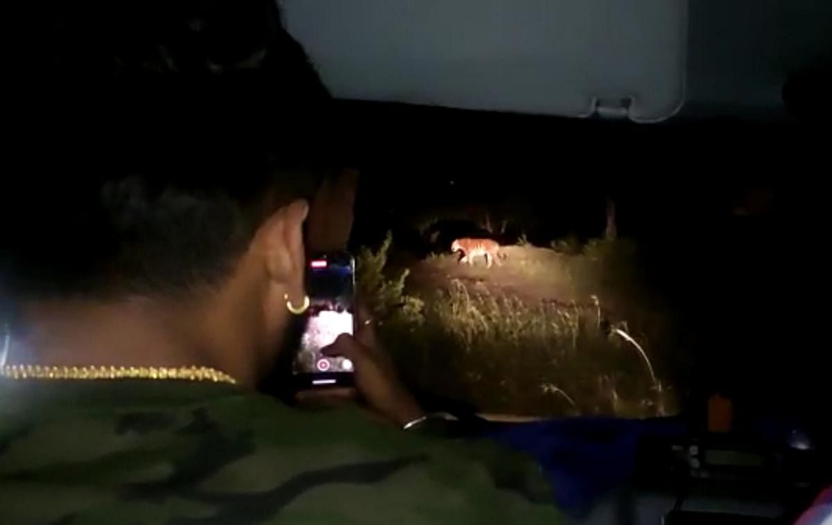 Night safari of actor Dhanveer in ‘Bandipur’; video goes viral