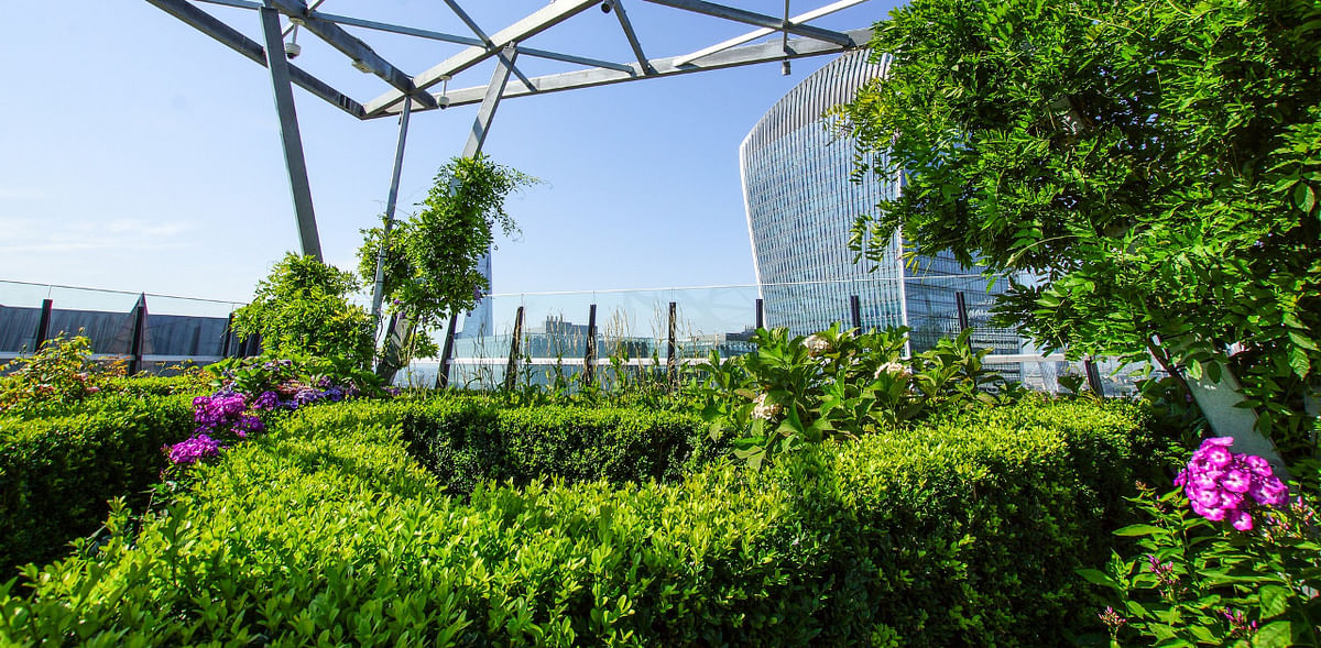 Avoid lawns and rooftop gardens as they add to humidity, say scientists