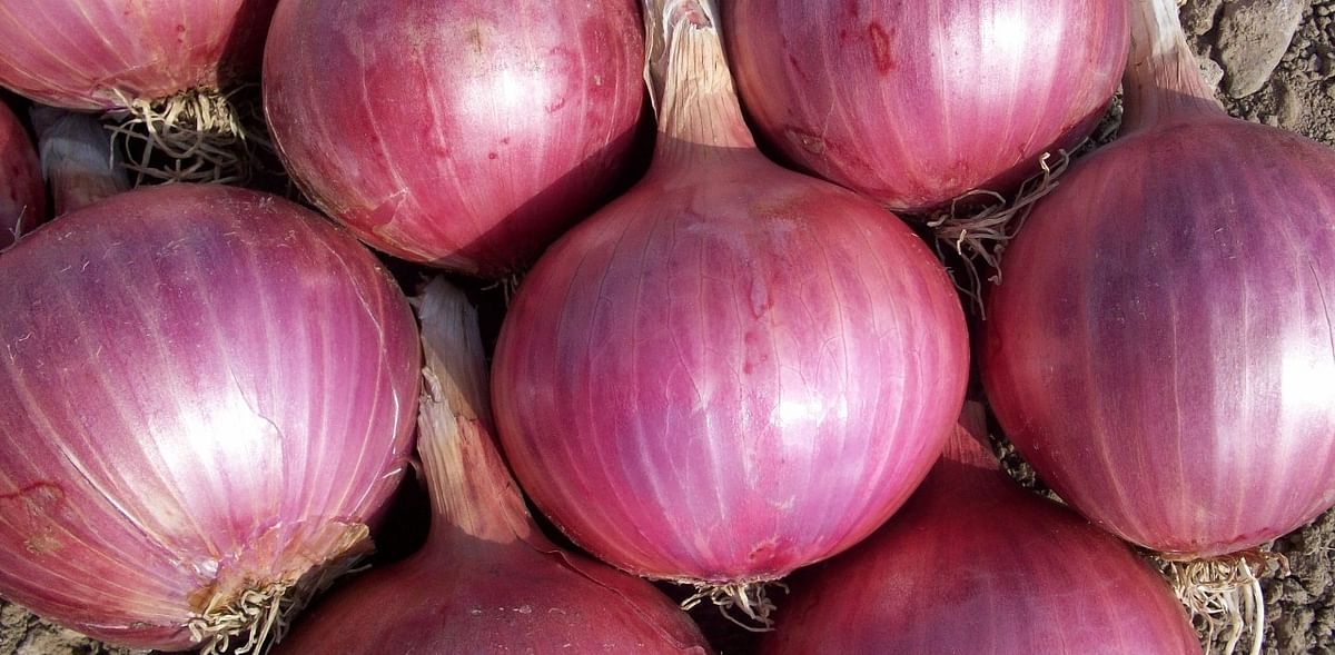 Nafed floats bids for 15,000 tonnes of imported red onions by November 20