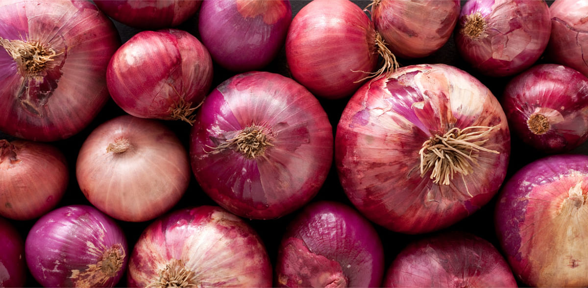 Nafed places orders for import of red onions