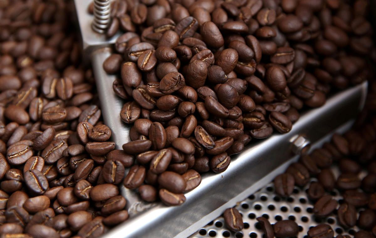 Coffee growers face price shock as demand dips in Europe