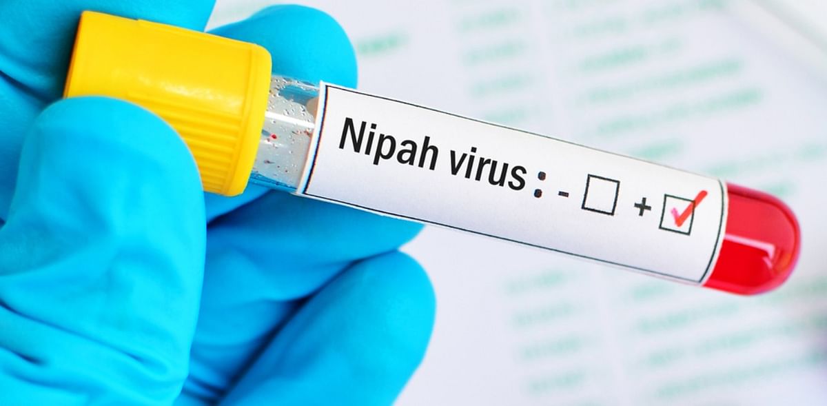 'How deadly Nipah virus jumps from bats to humans found'