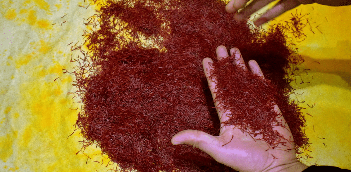 Saffron bowl may now extend to the northeast