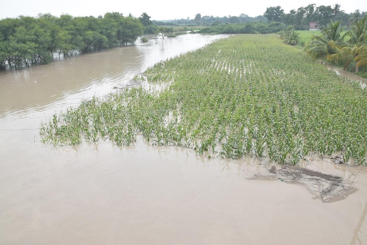Flood losses: Govt seeks Rs 2,100 cr under NDRF