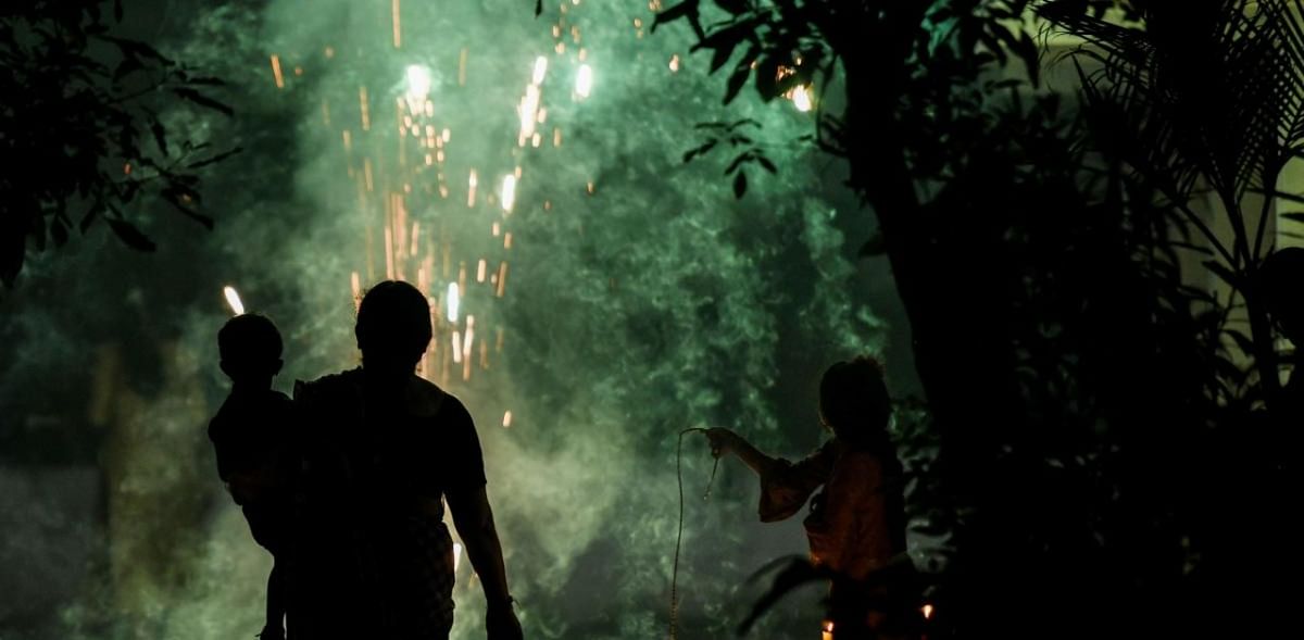 Delhi fire service responds to 205 distress calls on Diwali