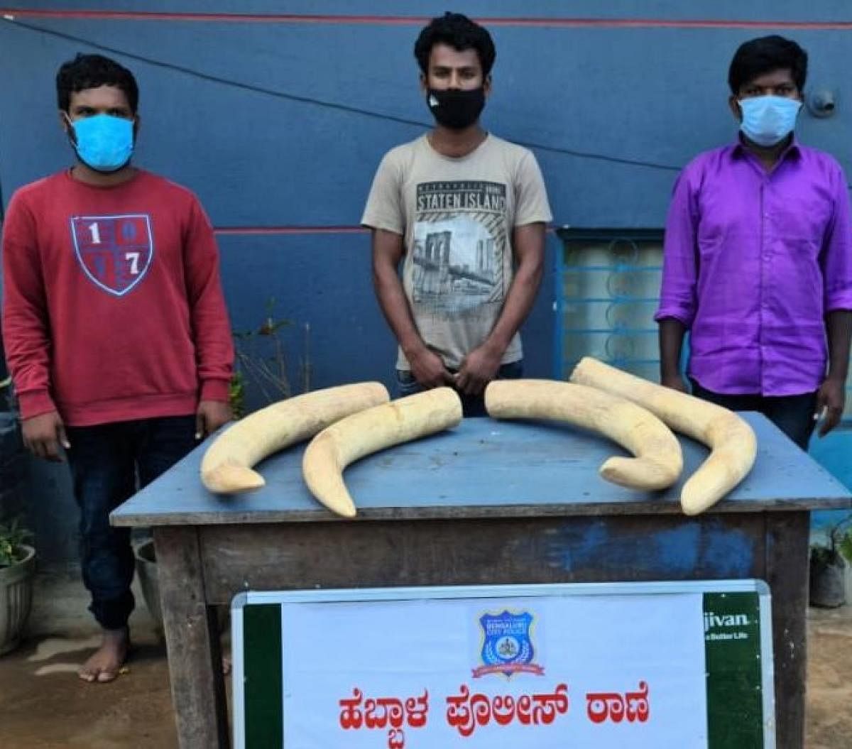 Jobless Bengaluru labourers caught selling tusks