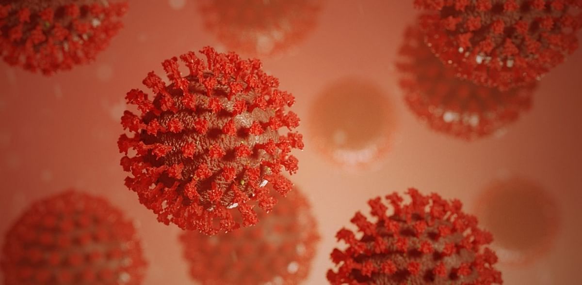 Coronavirus may hijack our cells’ cholesterol system to spread through the body