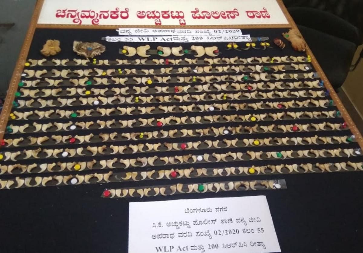 Four arrested for selling skin, claws of wild animals in Bengaluru