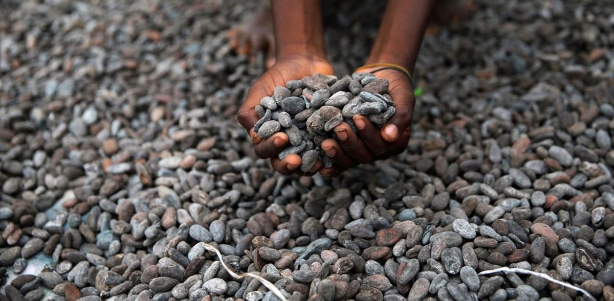 Mars and Hershey's accused of avoiding fair pay for cocoa farmers