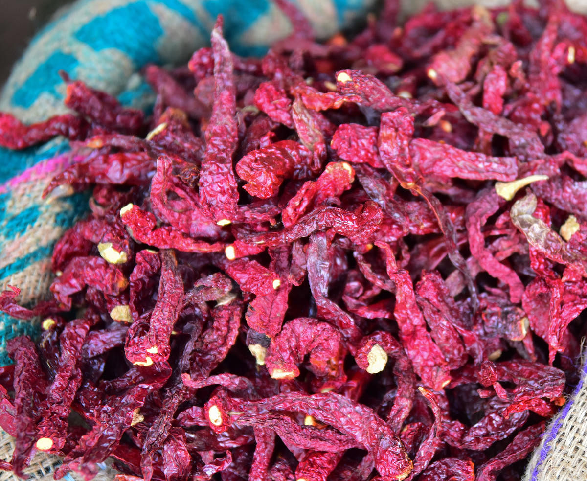 Byadgi chilli price hit all-time high of Rs 35.19K/quintal