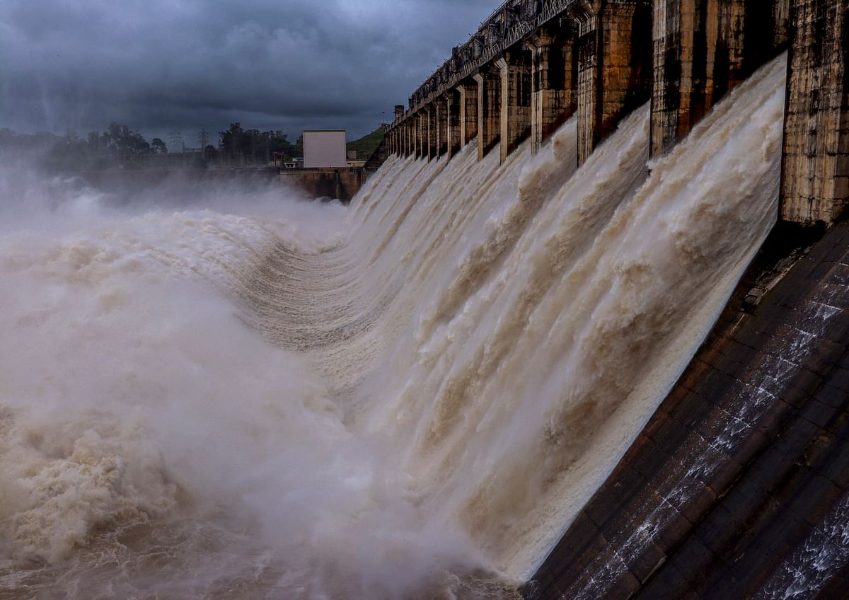 Dams spell doom for freshwater fish
