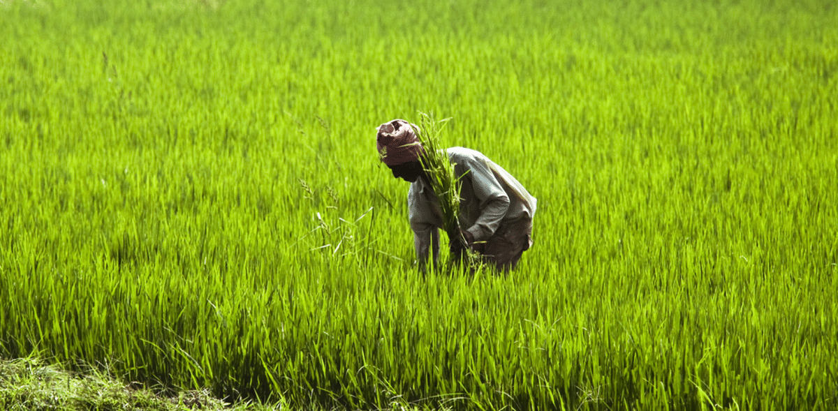 Karnataka's defining moments: A fierce farmers' agitation that spread itself too thin