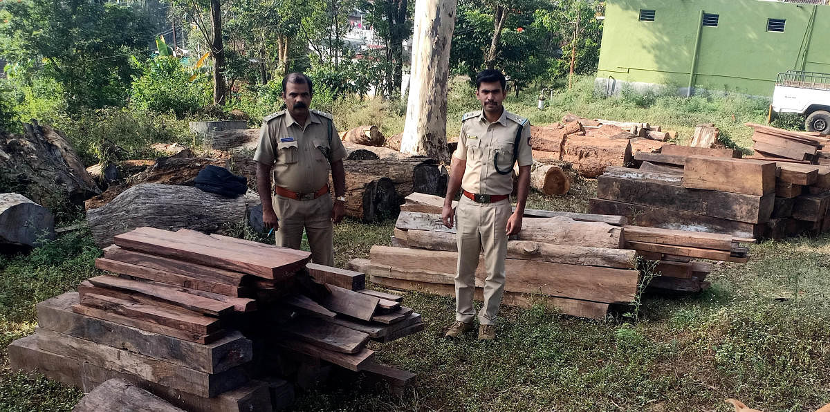 Illegally stocked wood seized