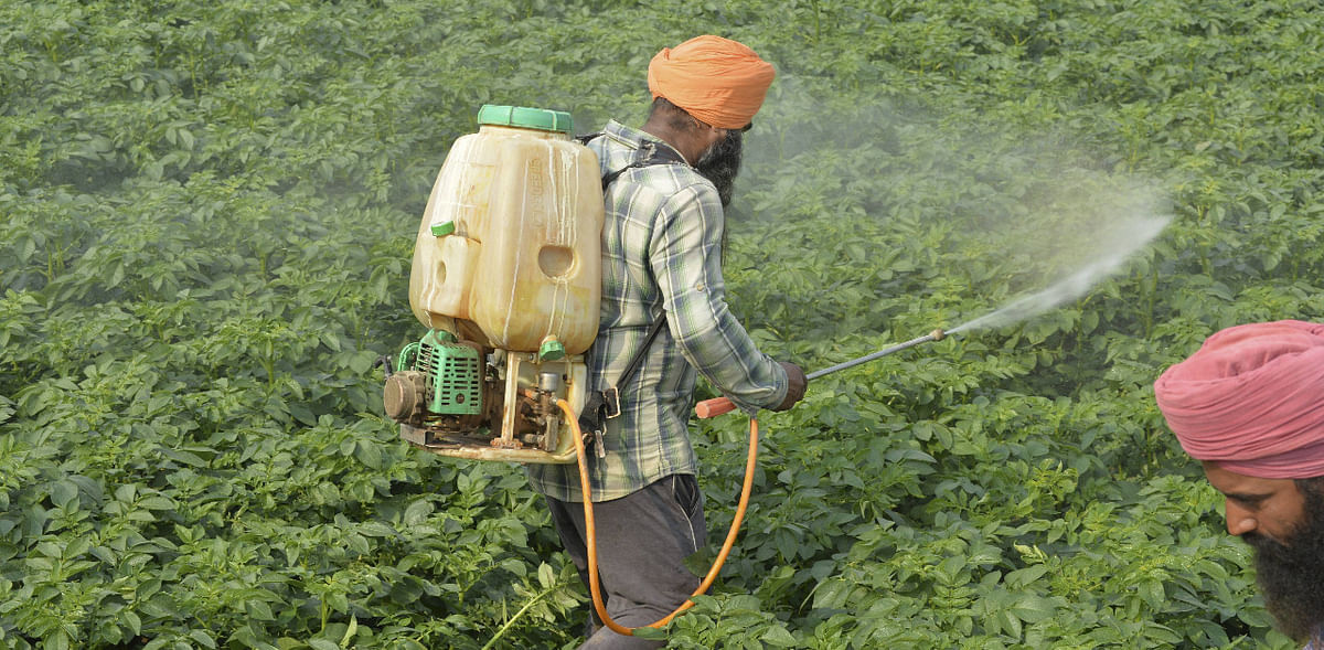 Pesticide industry flags concern over Pesticides Amendment Bill