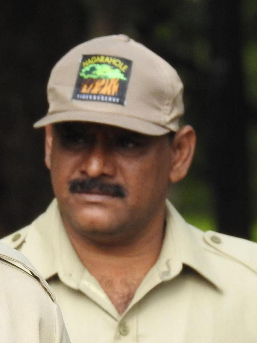 Jumbo tramples Forest dept employee to death