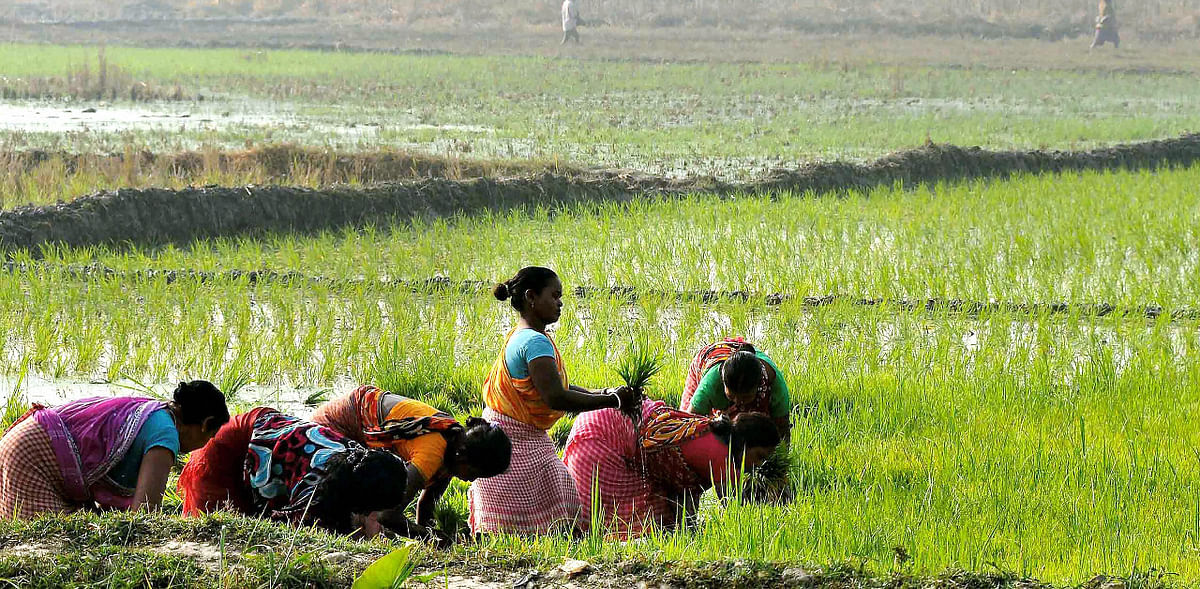 With consent, private buyers can get farmers' data in Karnataka