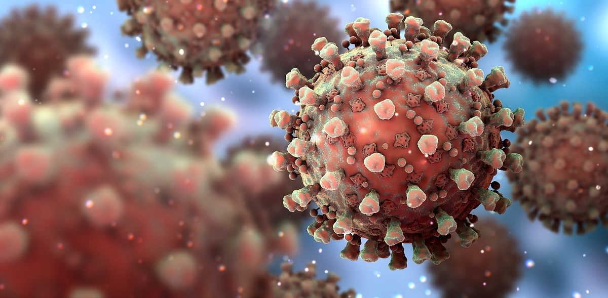 Scientists decode how coronavirus interacts with proteins in human cells