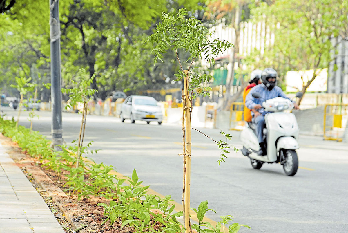 Bengaluru: BBMP drops plan to name roads after Muslim leaders