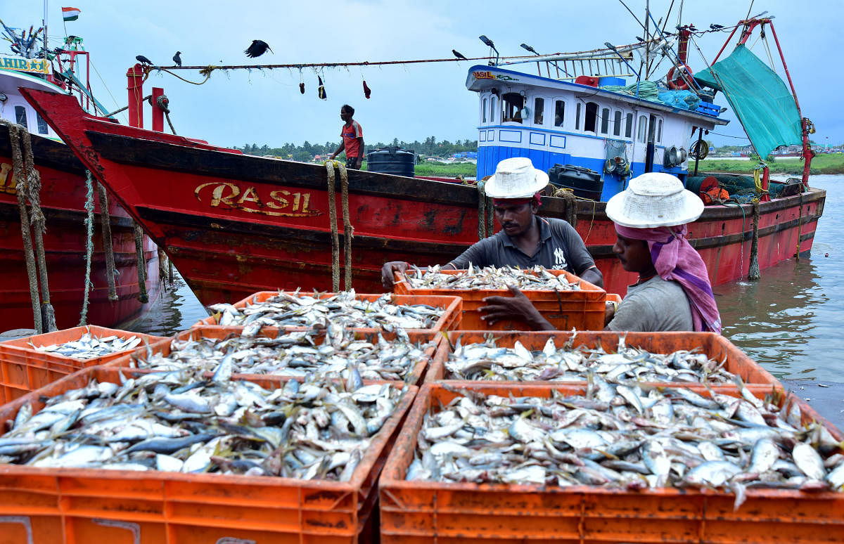 Healthy fisheries, sustainable trade