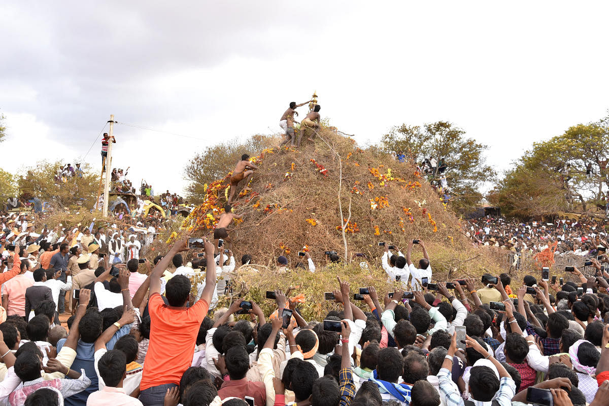 A Sankranthi fair in harmony with nature