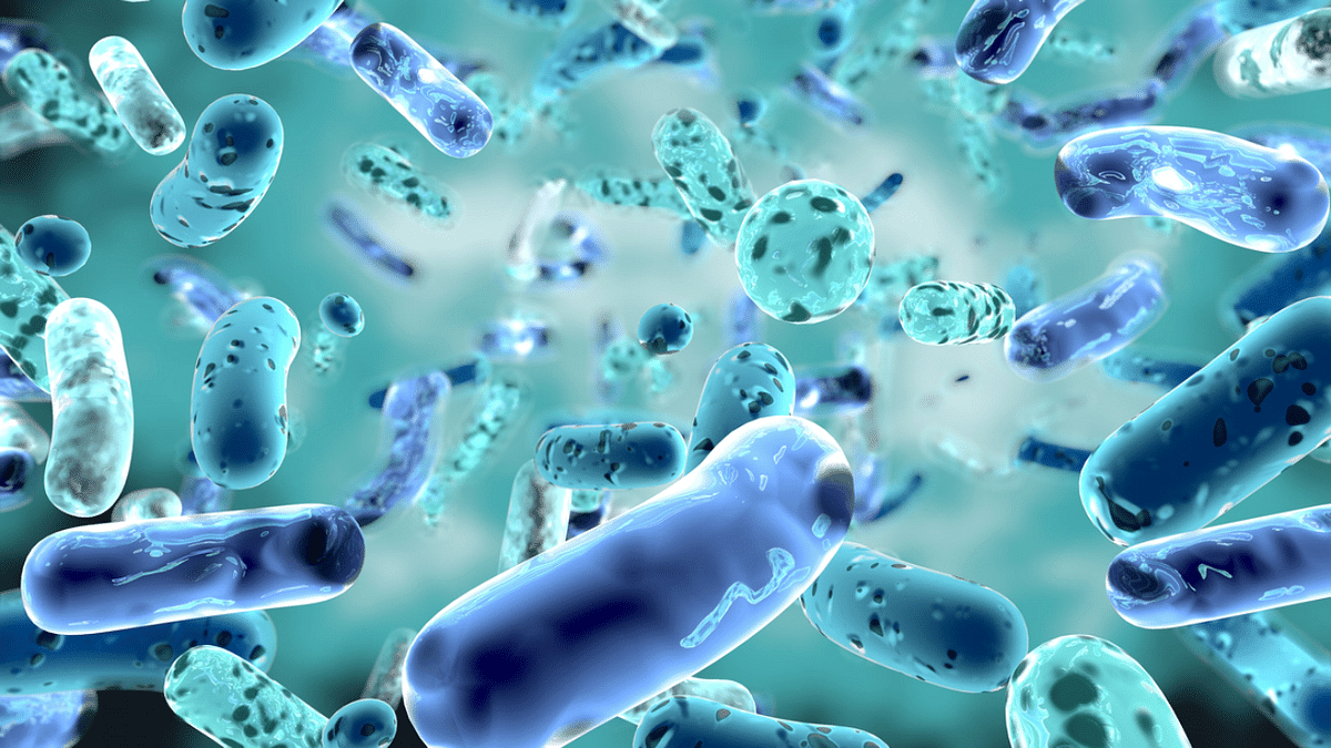 Imbalance in gut bacteria linked to 'long Covid' infection risk, says study